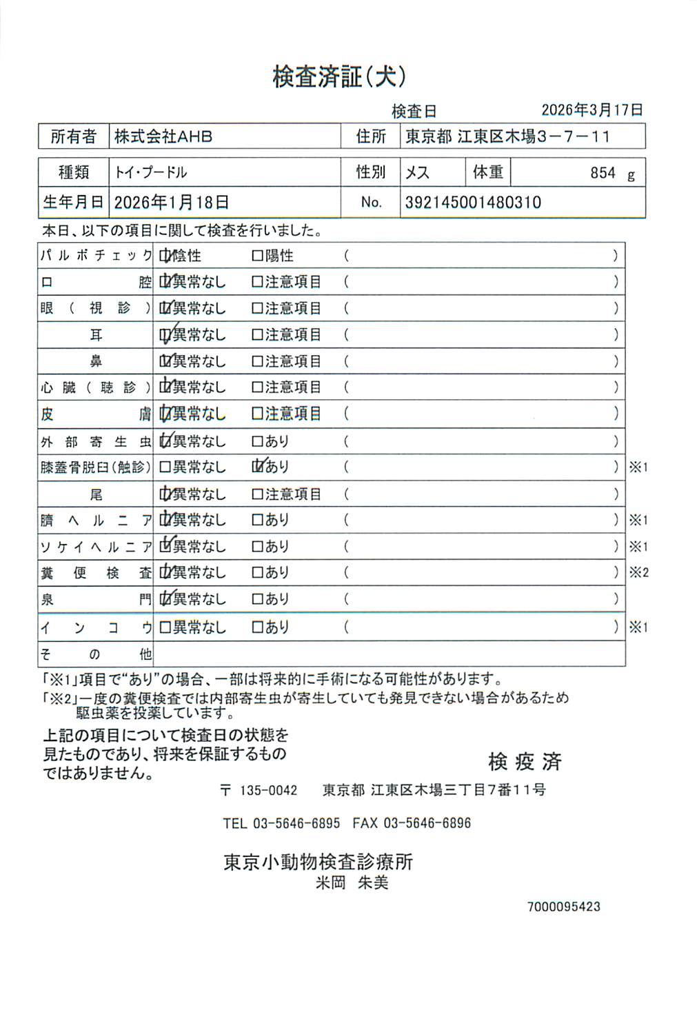 トイ・プードル