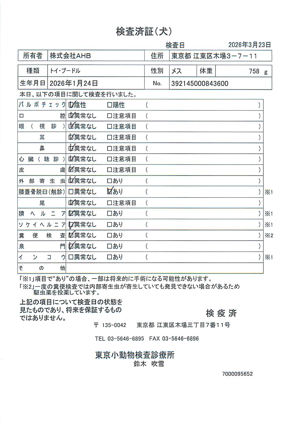 トイ・プードル