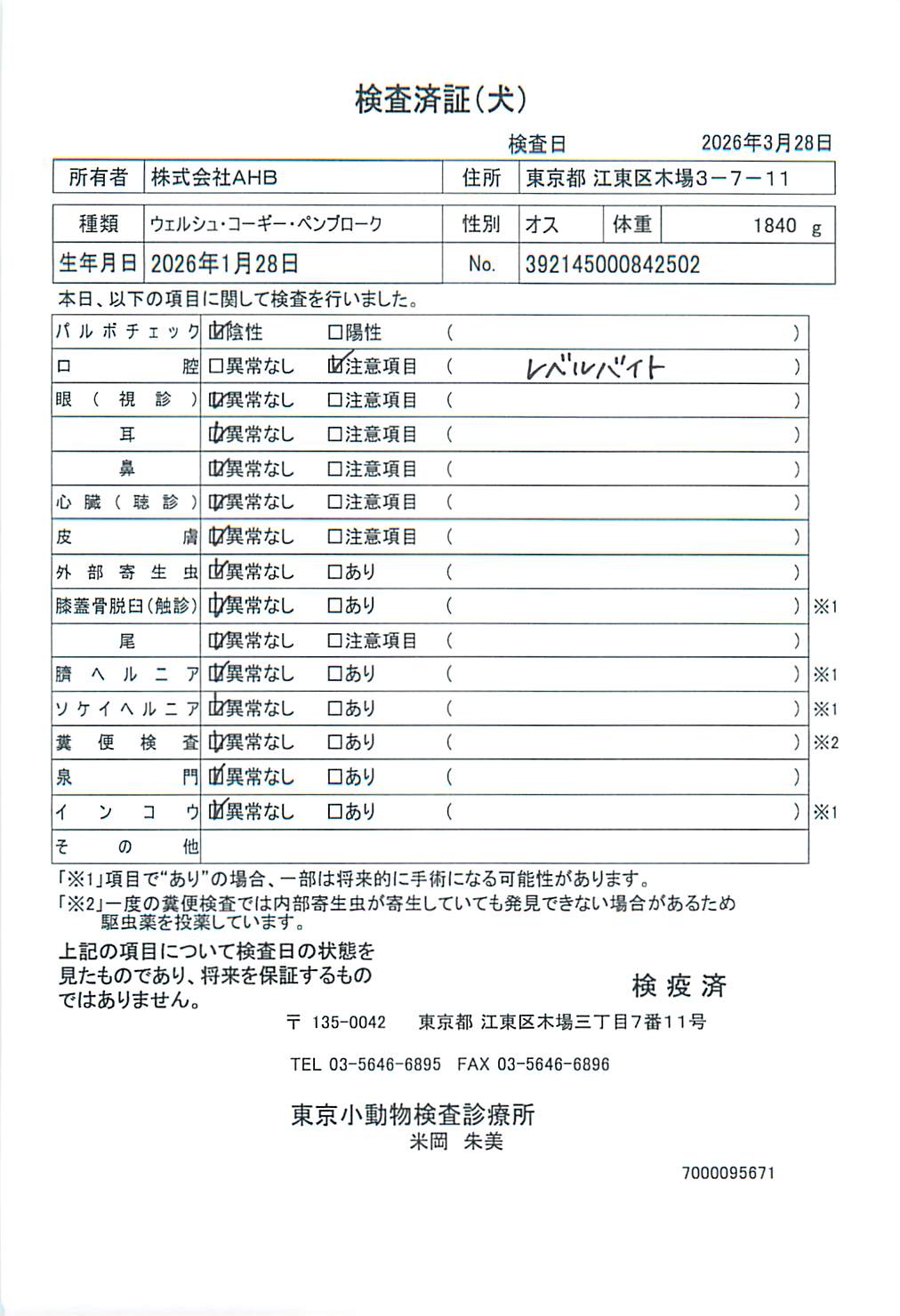 ウェルシュ・コーギー・ペンブローク