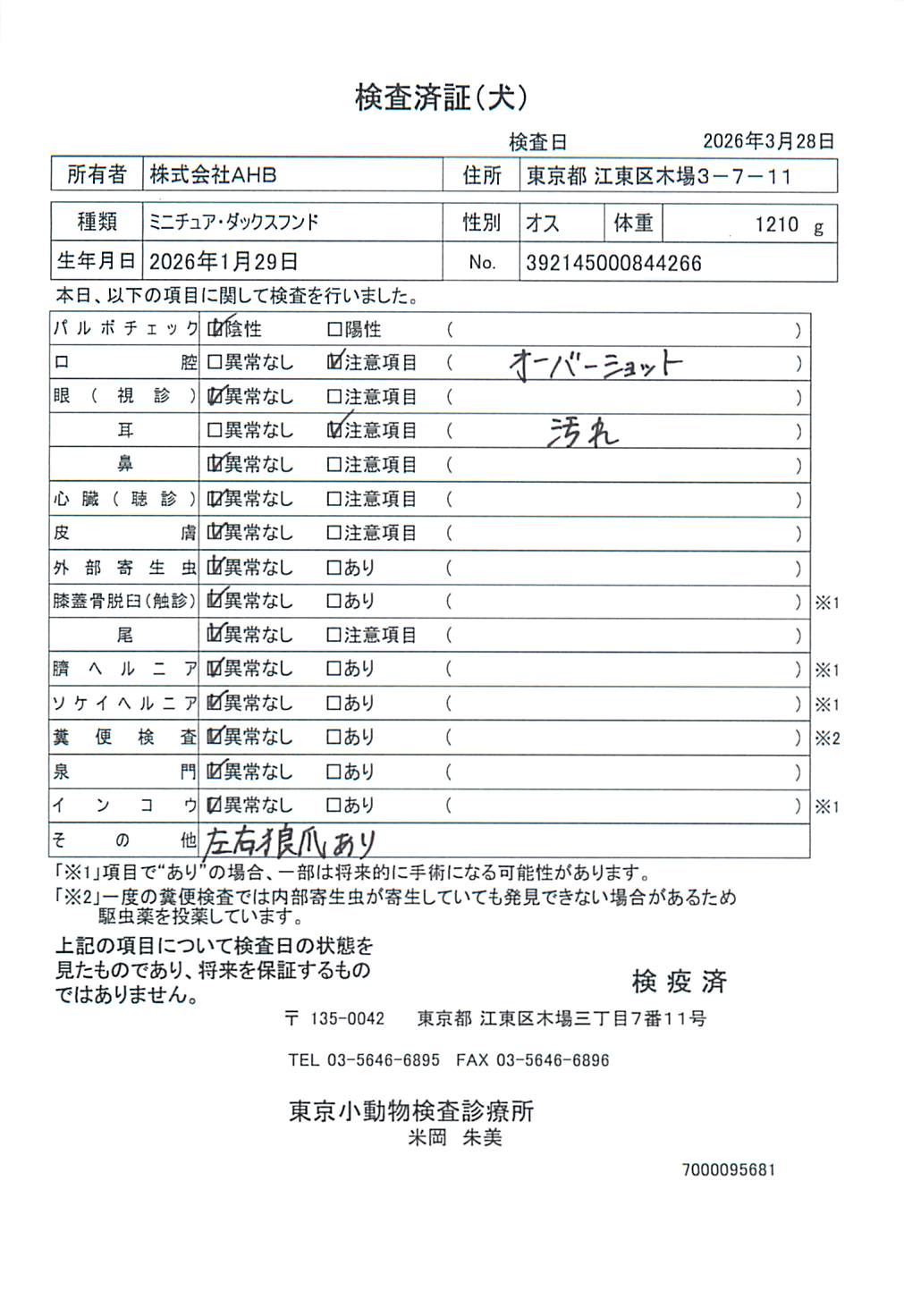 ミニチュア・ダックスフンド