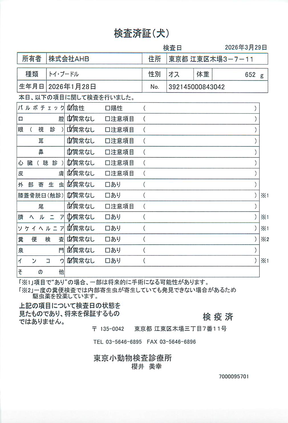 トイ・プードル