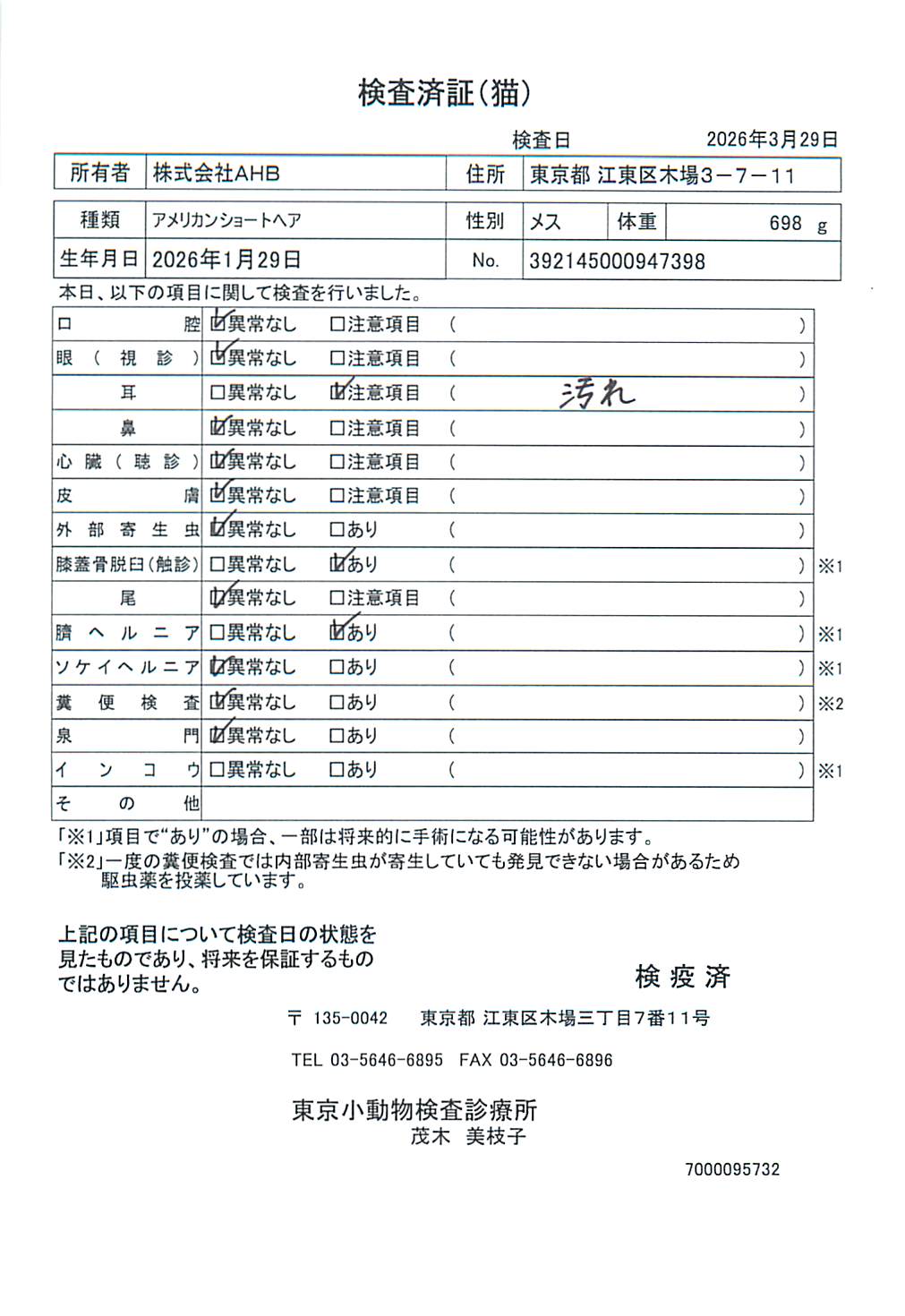 アメリカンショートヘア