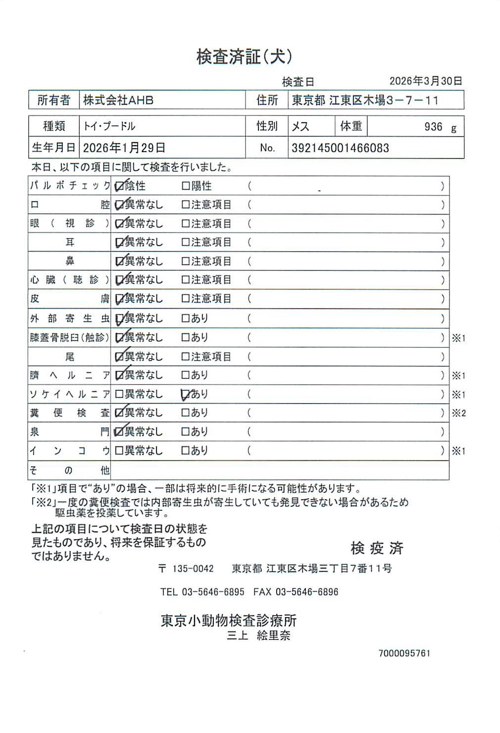 トイ・プードル