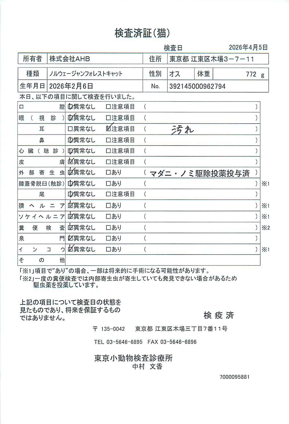 ノルウェージャンフォレストキャット