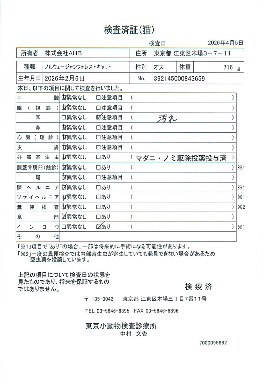 ノルウェージャンフォレストキャット