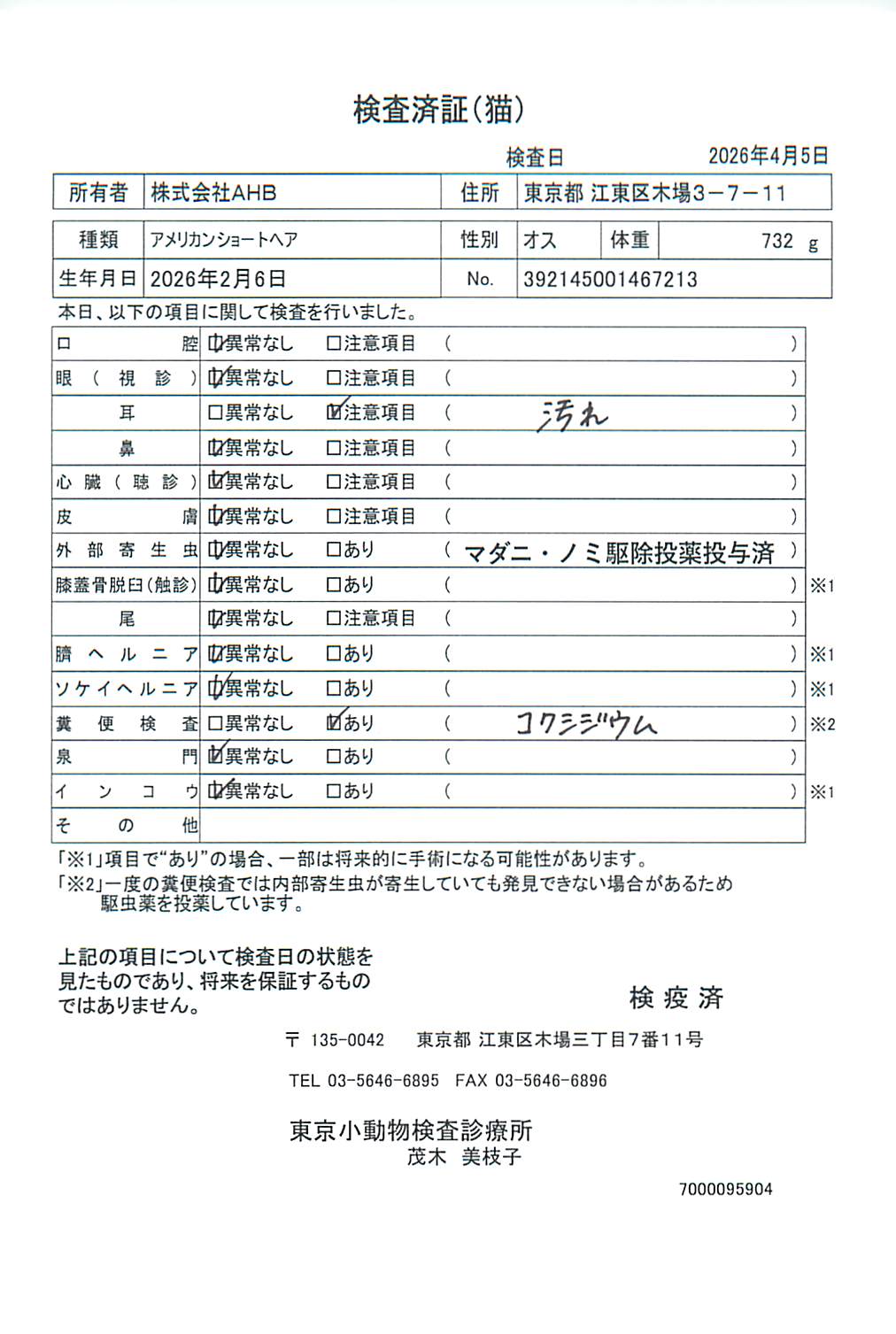 アメリカンショートヘア