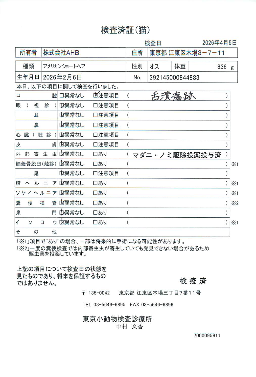 アメリカンショートヘア