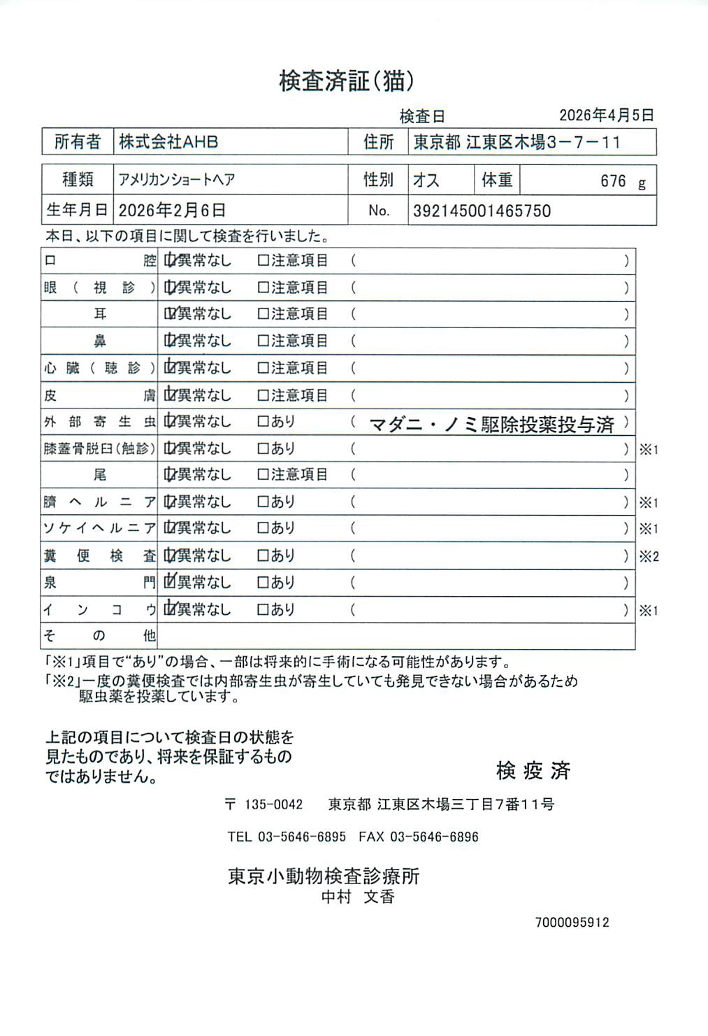 アメリカンショートヘア