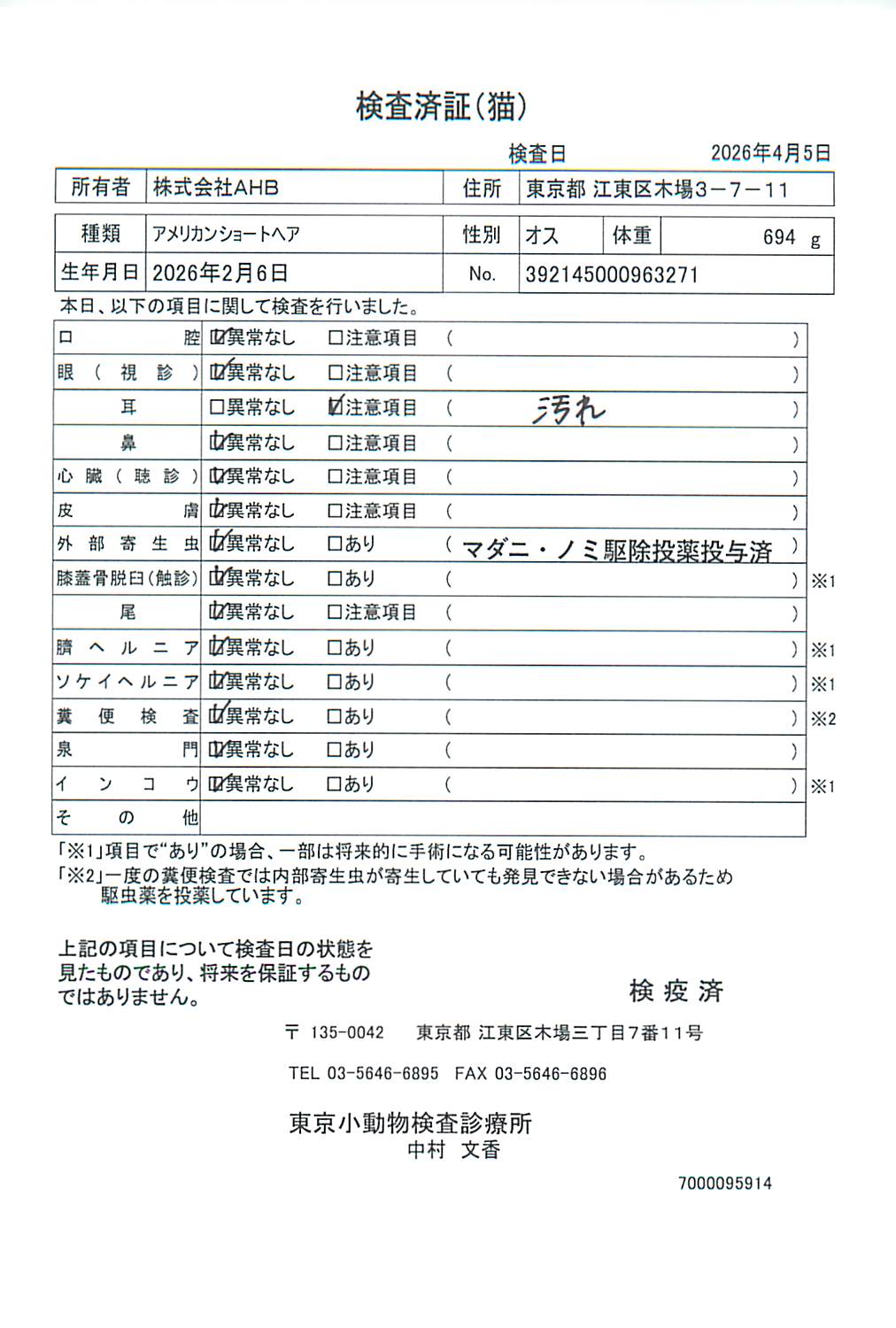 アメリカンショートヘア