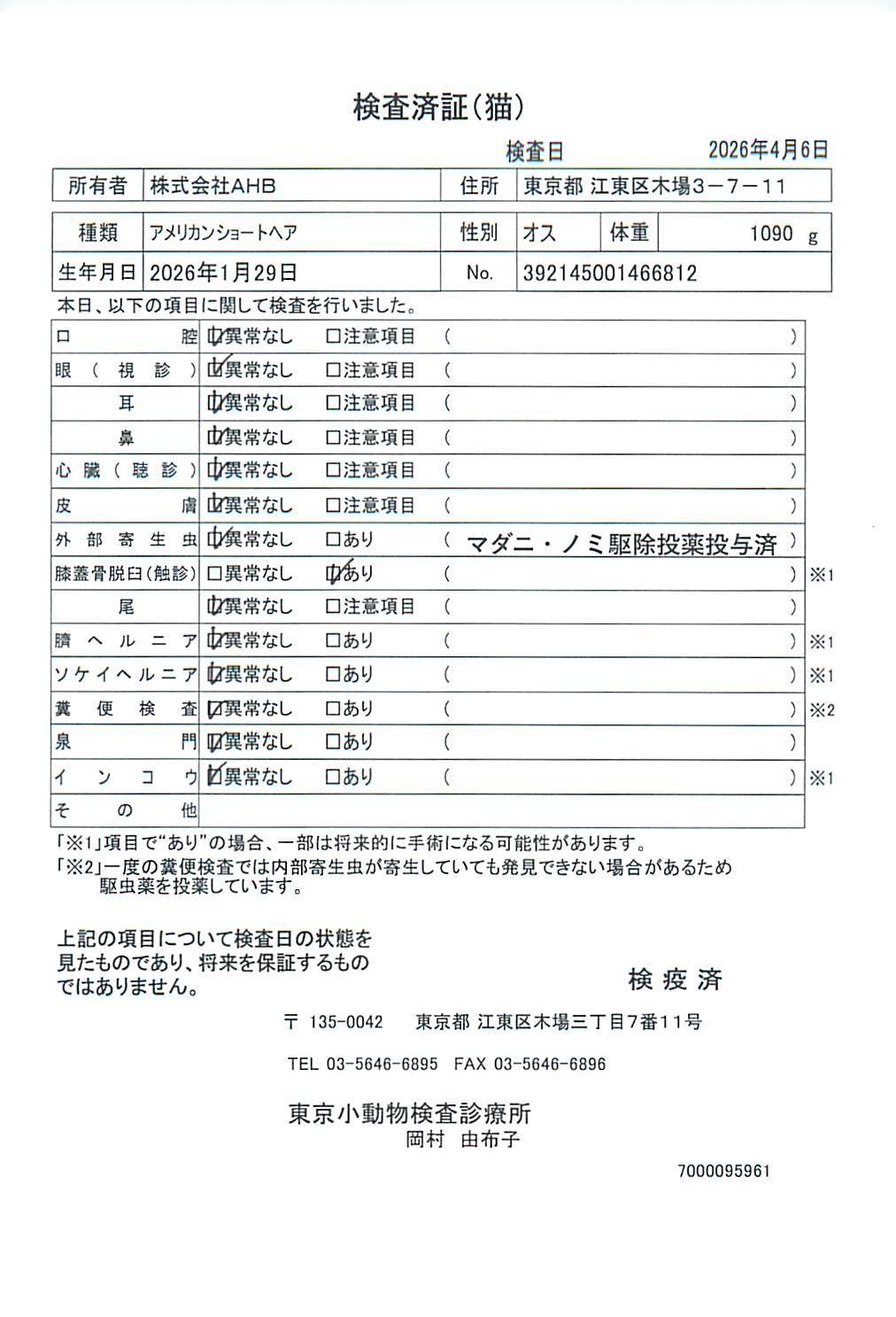 アメリカンショートヘア