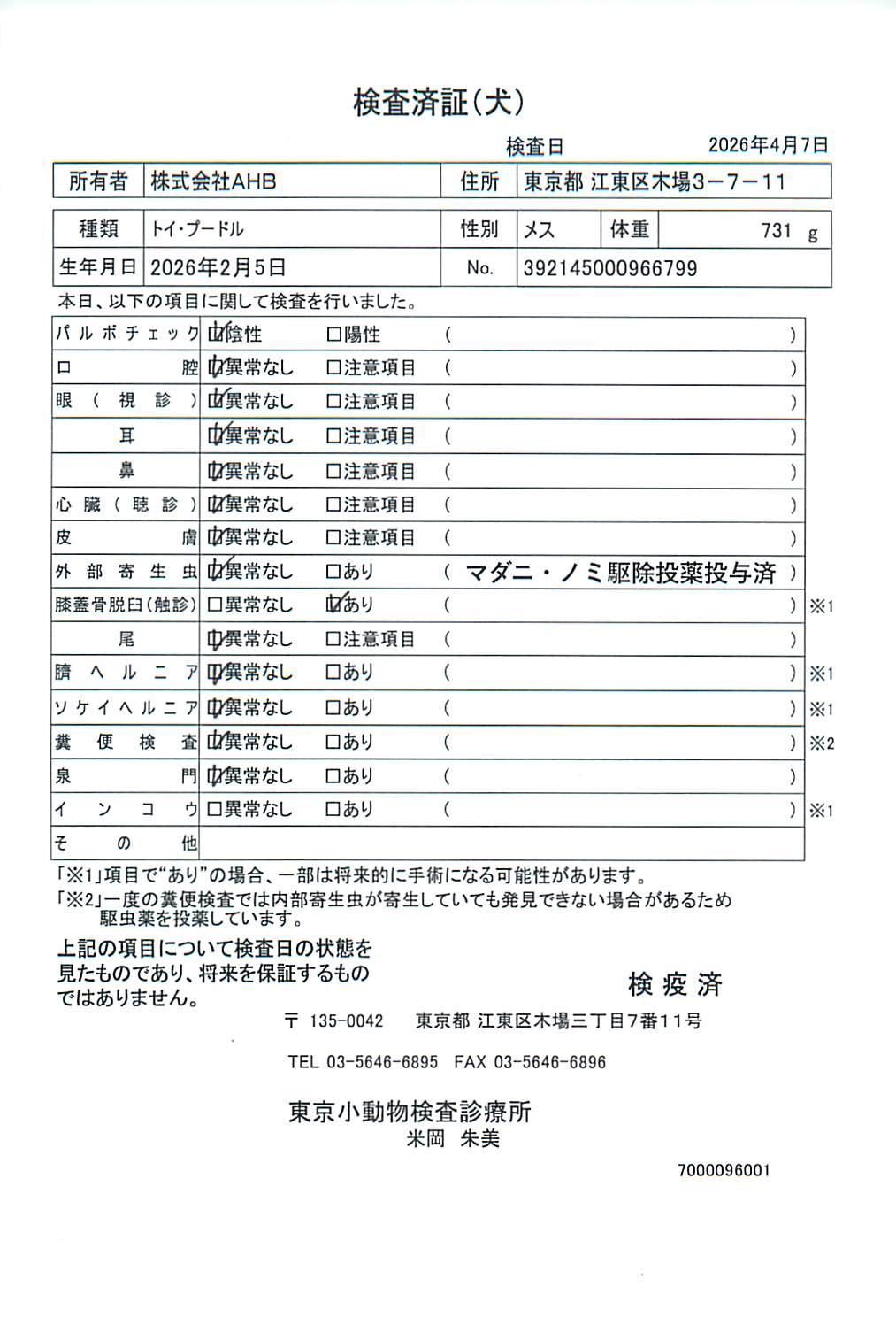 トイ・プードル