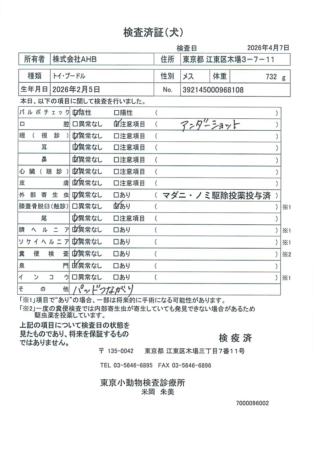 トイ・プードル