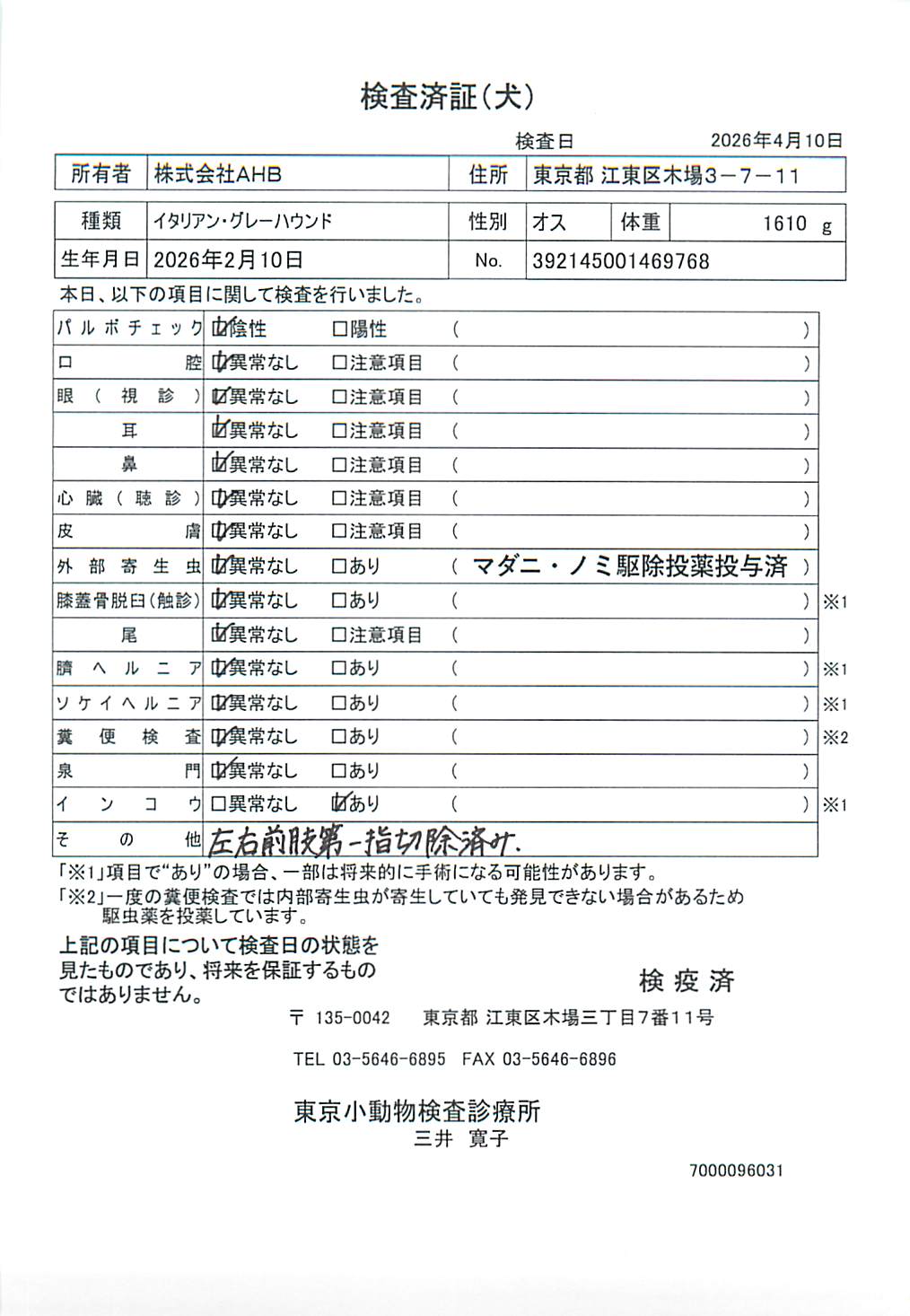 イタリアン・グレーハウンド