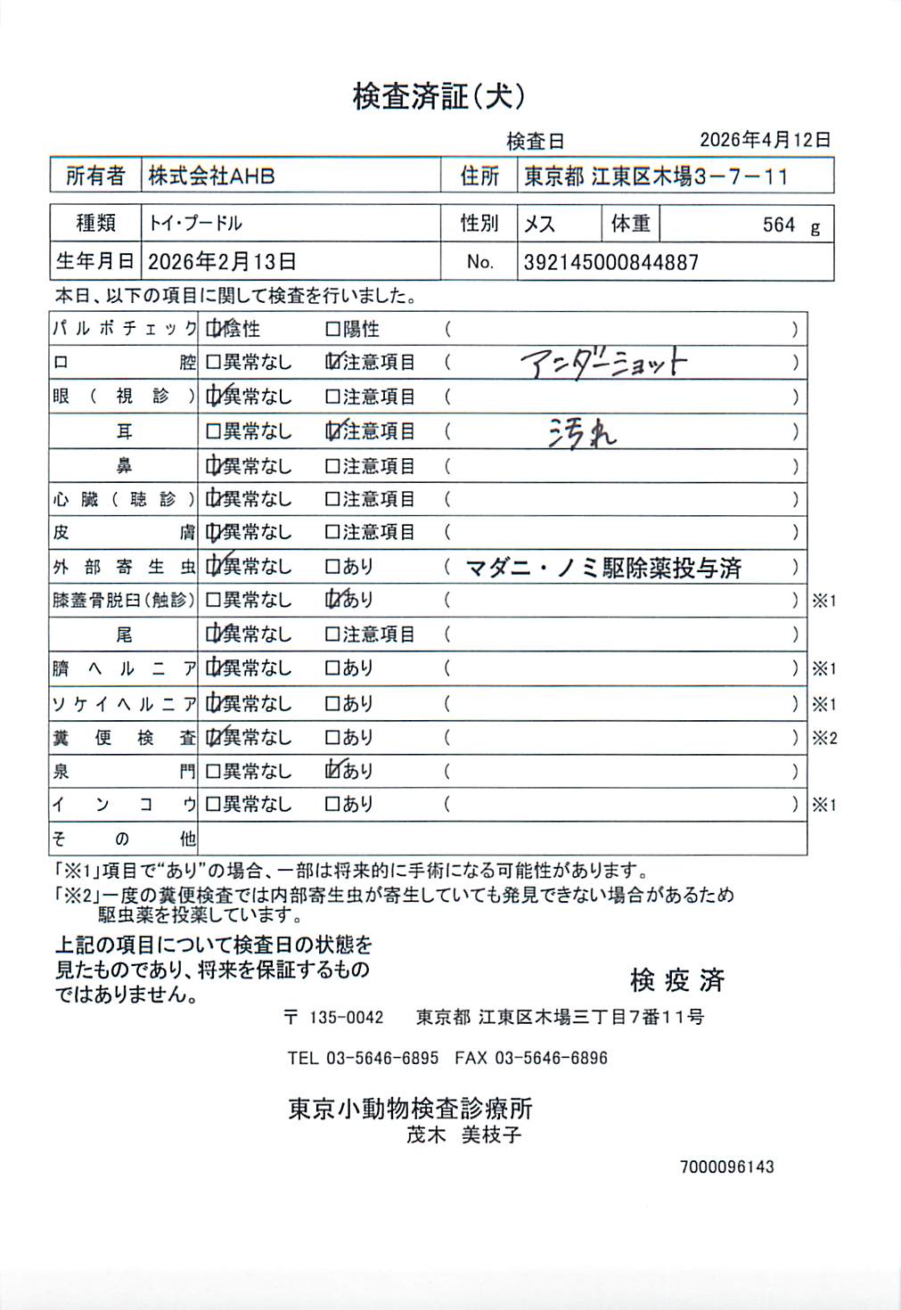 トイ・プードル