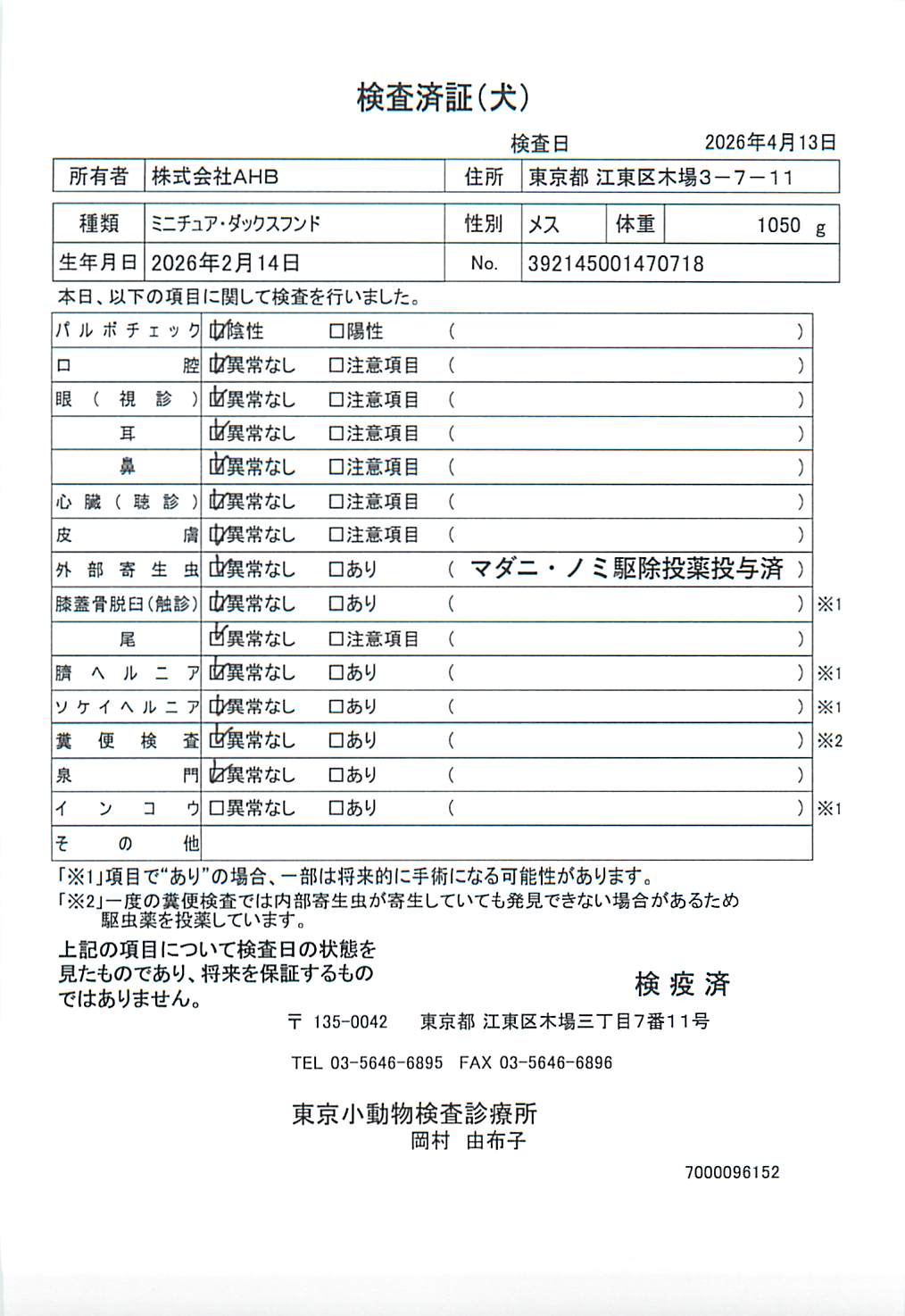 ミニチュア・ダックスフンド