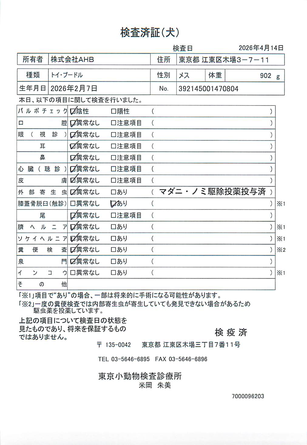 トイ・プードル