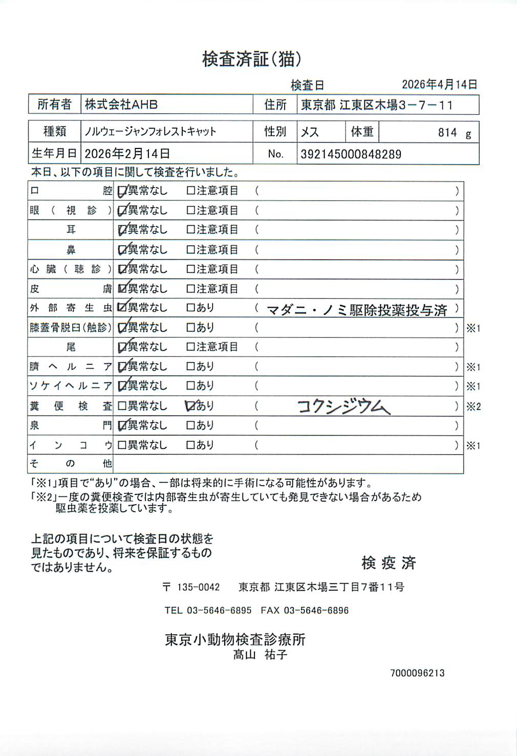 ノルウェージャンフォレストキャット