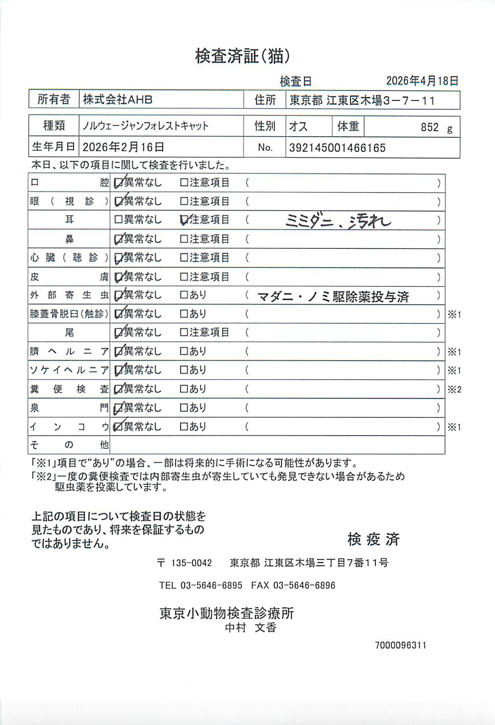 ノルウェージャンフォレストキャット