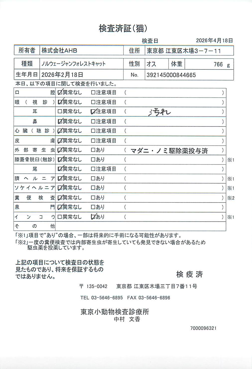 ノルウェージャンフォレストキャット