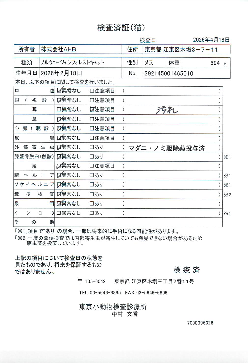 ノルウェージャンフォレストキャット