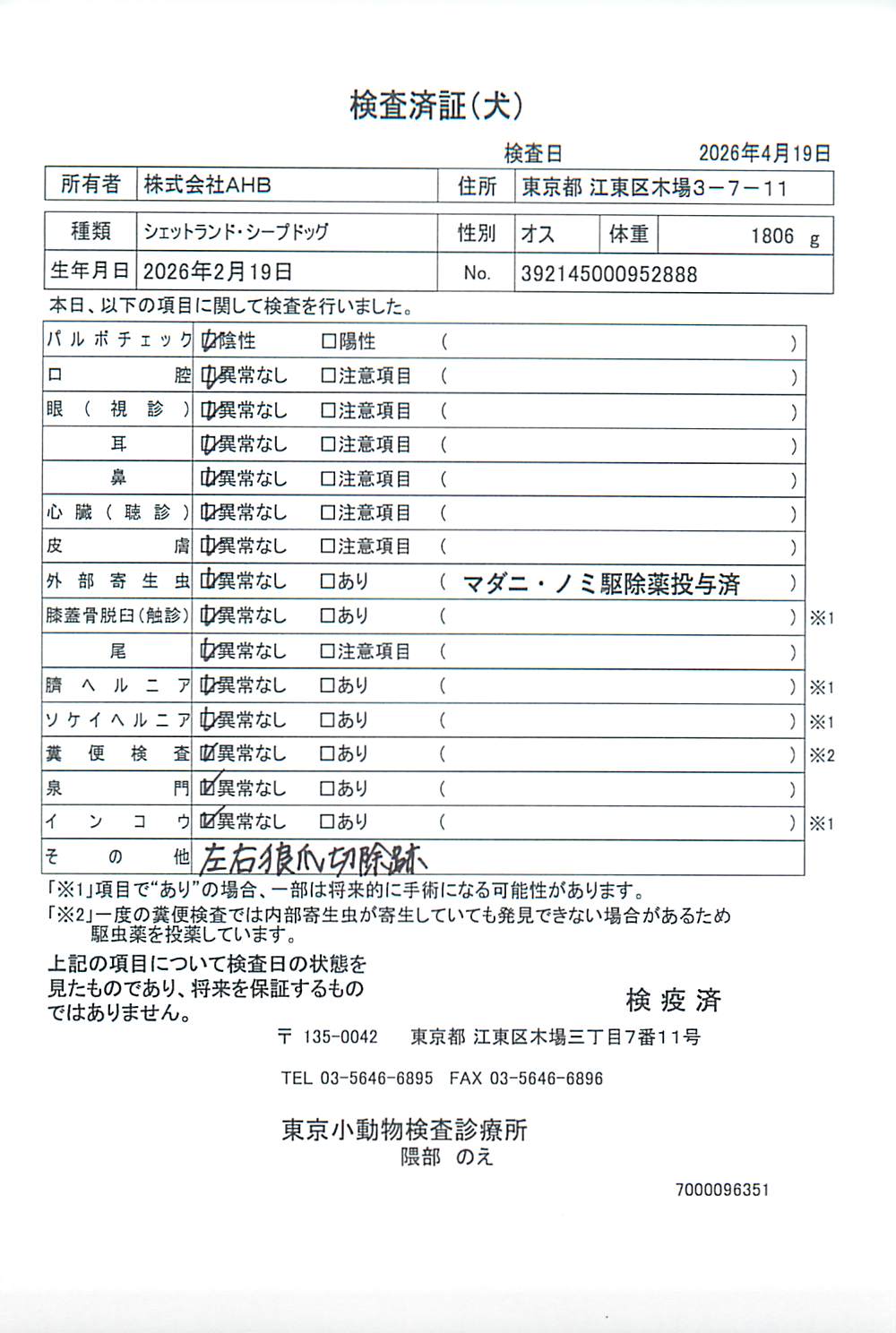 シェットランド・シープドッグ