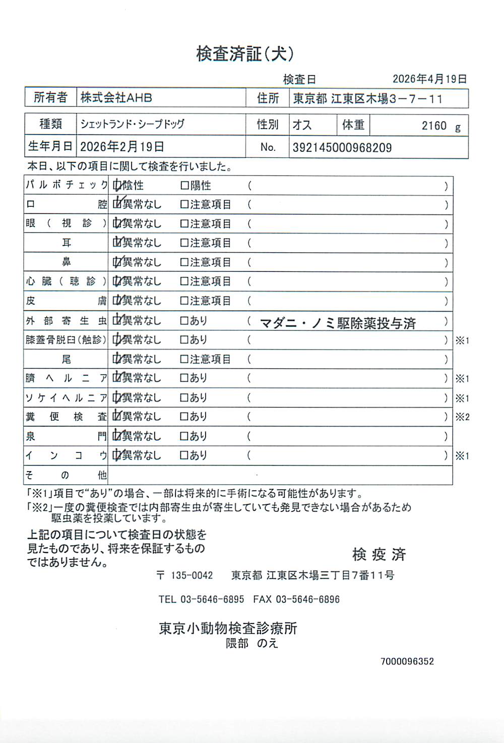 シェットランド・シープドッグ
