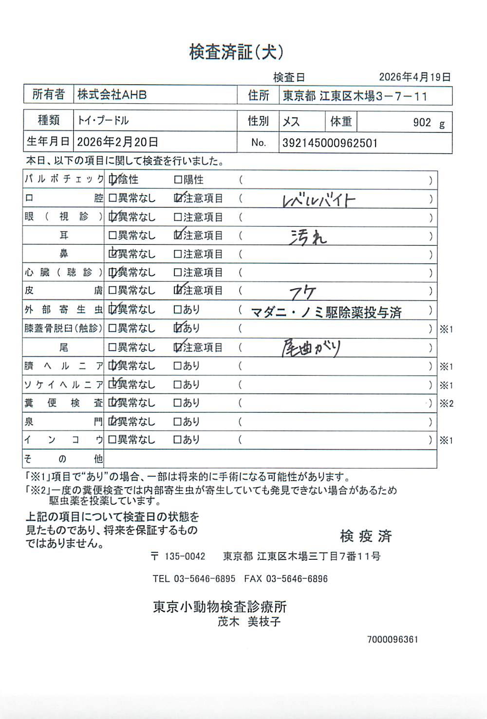 トイ・プードル