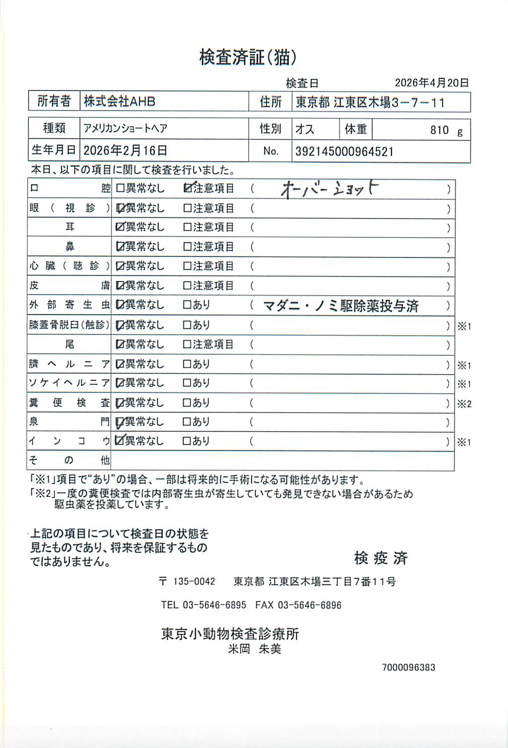アメリカンショートヘア