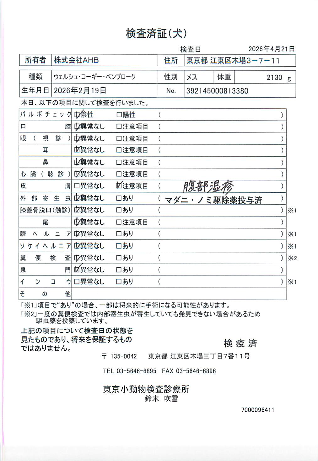 ウェルシュ・コーギー・ペンブローク