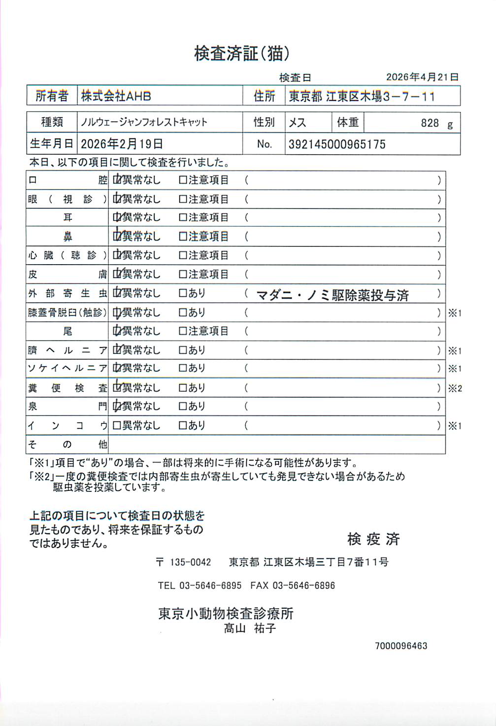 ノルウェージャンフォレストキャット