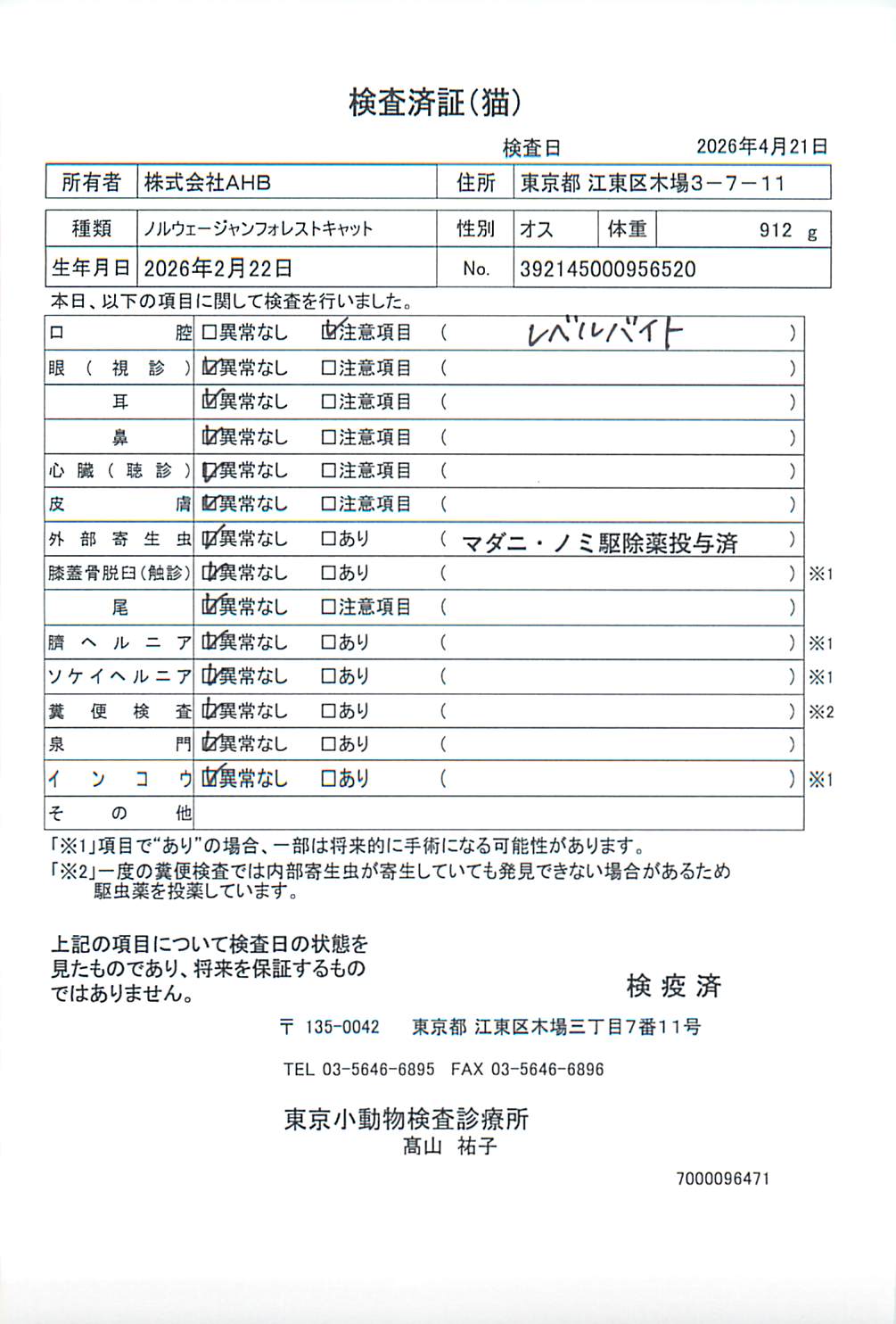 ノルウェージャンフォレストキャット