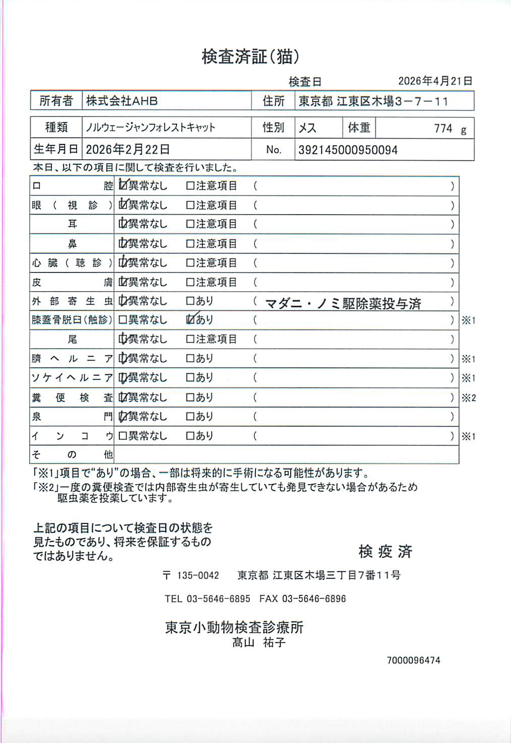 ノルウェージャンフォレストキャット