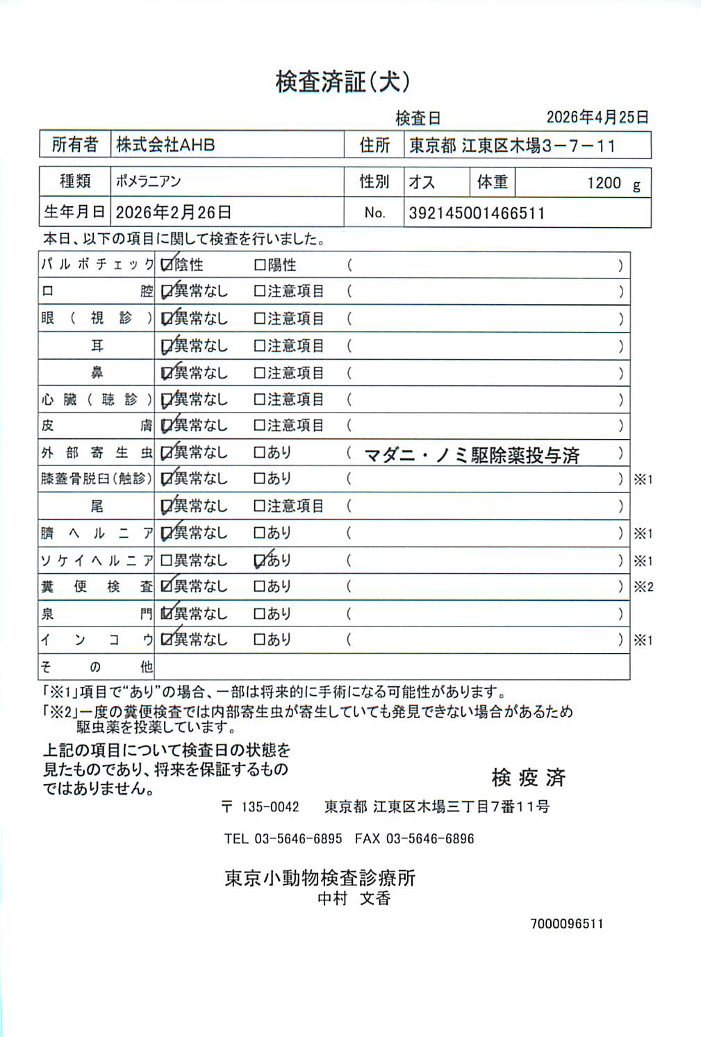 ポメラニアン