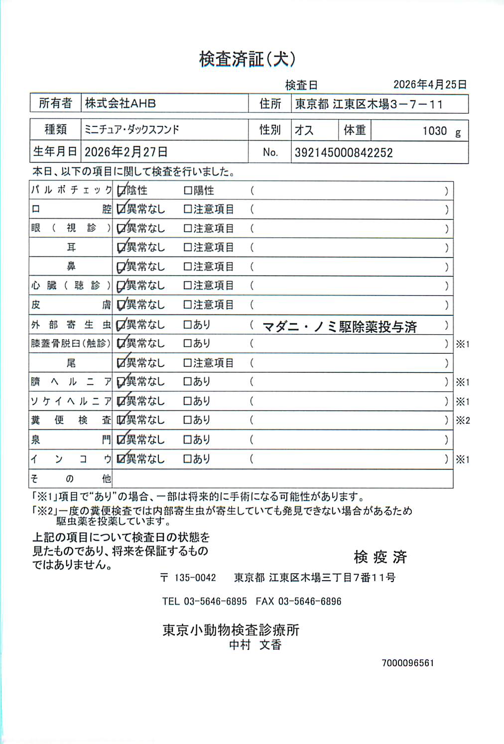 ミニチュア・ダックスフンド