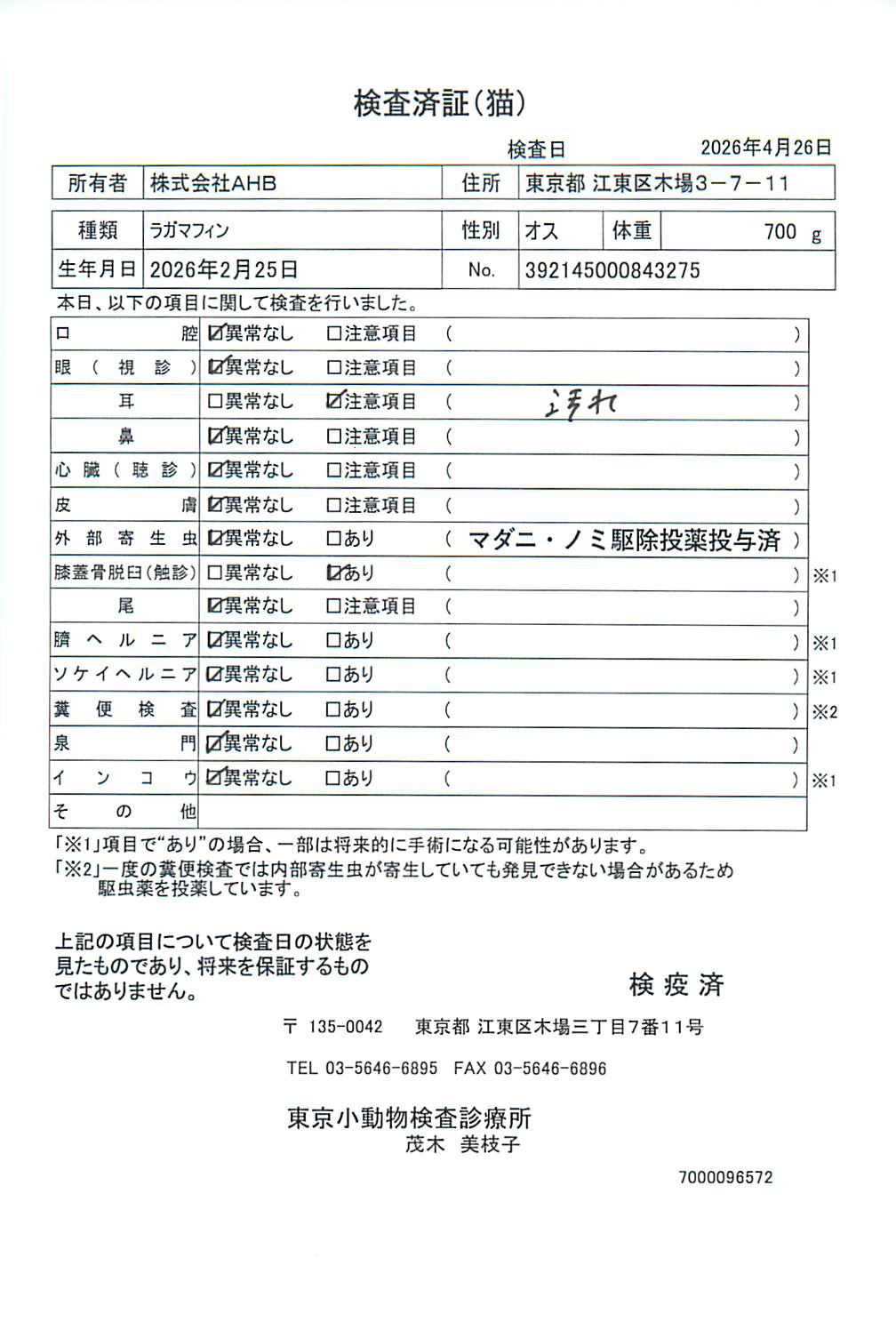 ラガマフィン