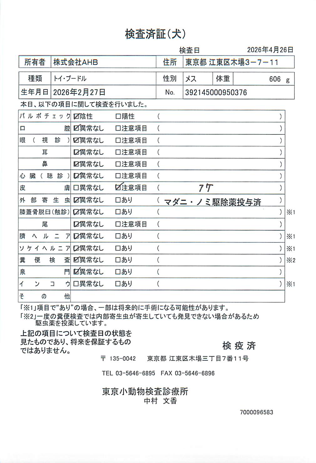 トイ・プードル