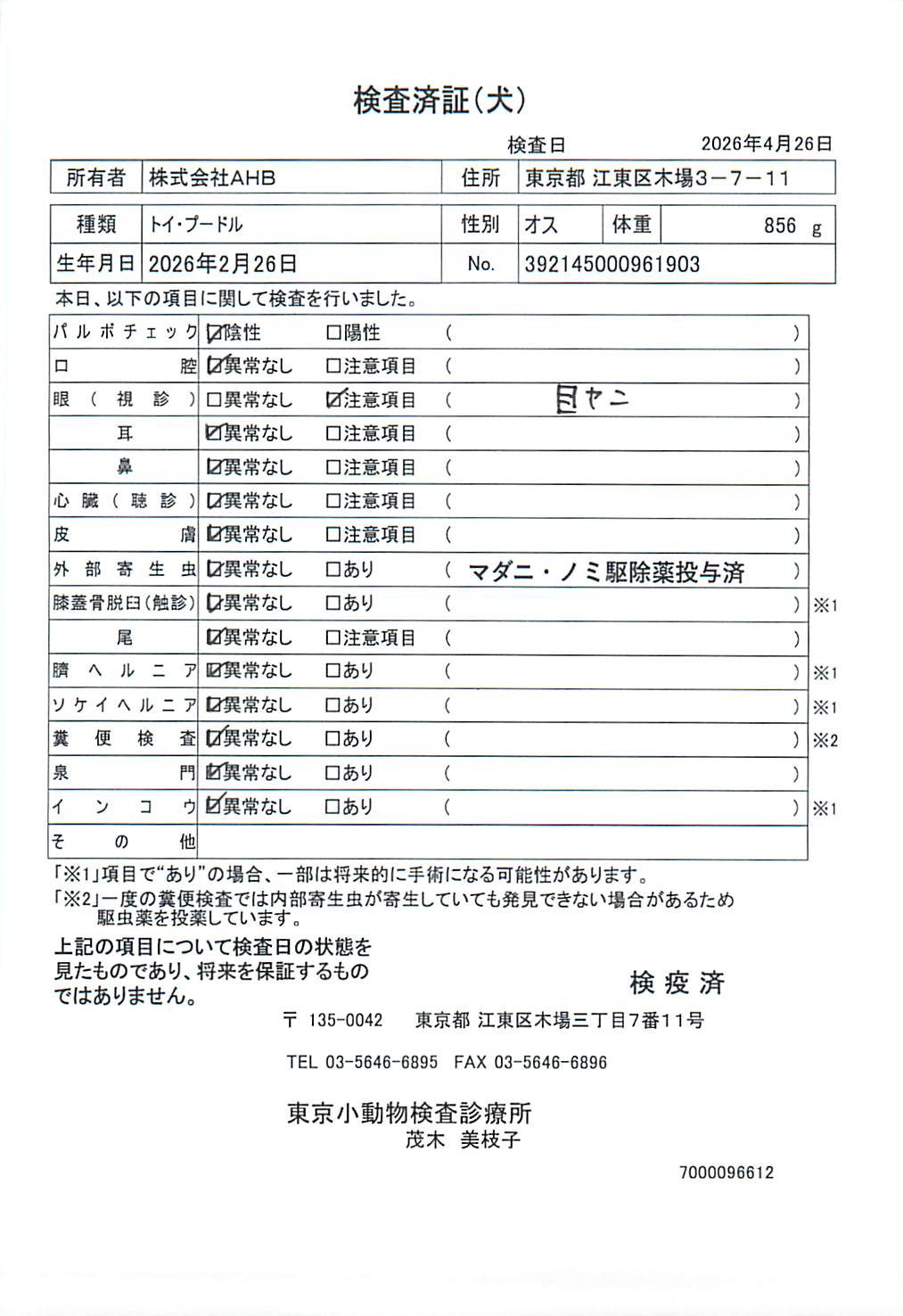 トイ・プードル