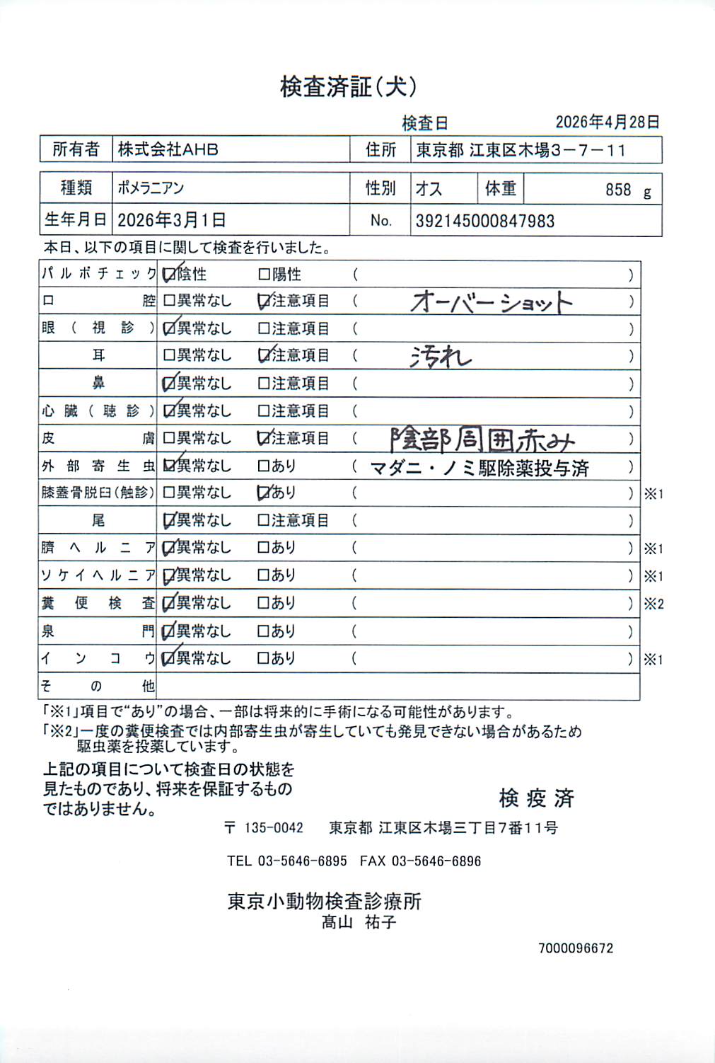 ポメラニアン