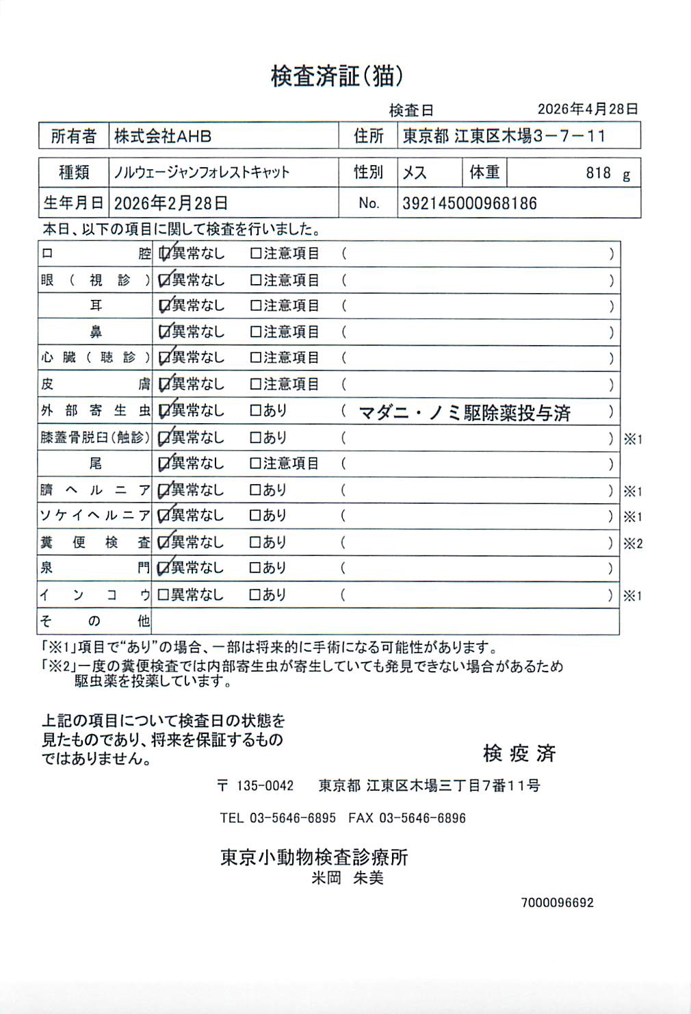 ノルウェージャンフォレストキャット