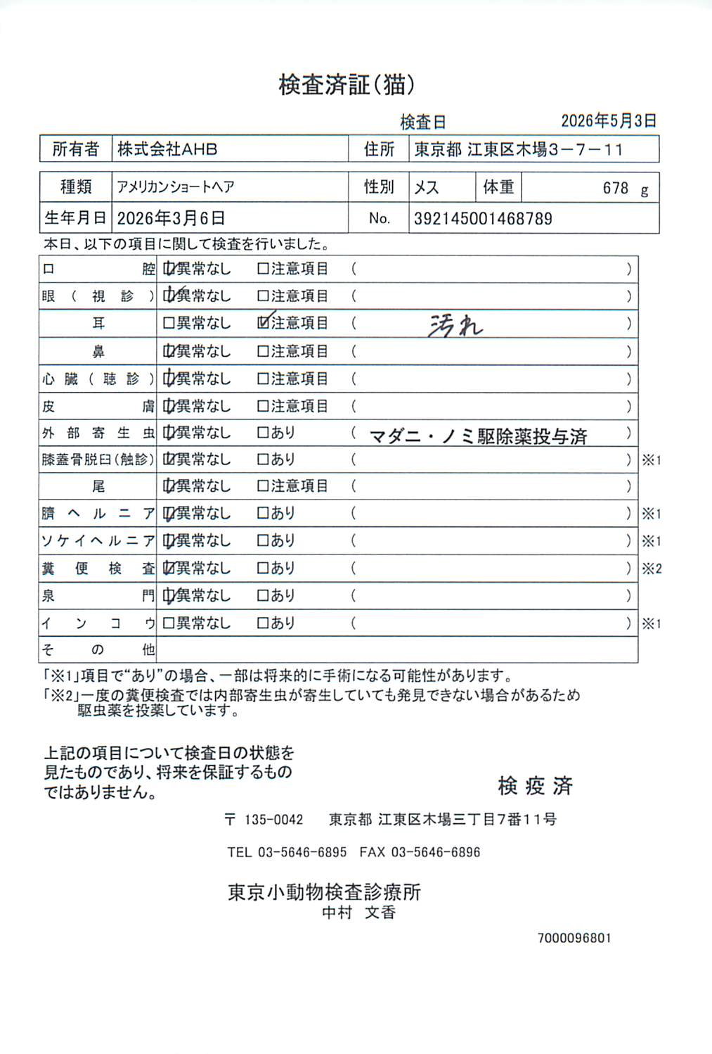 アメリカンショートヘア