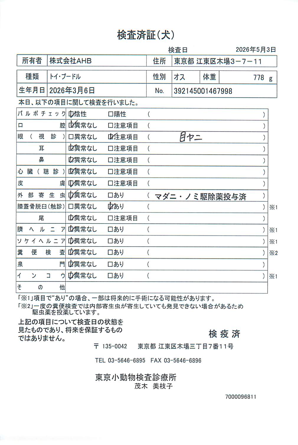 トイ・プードル