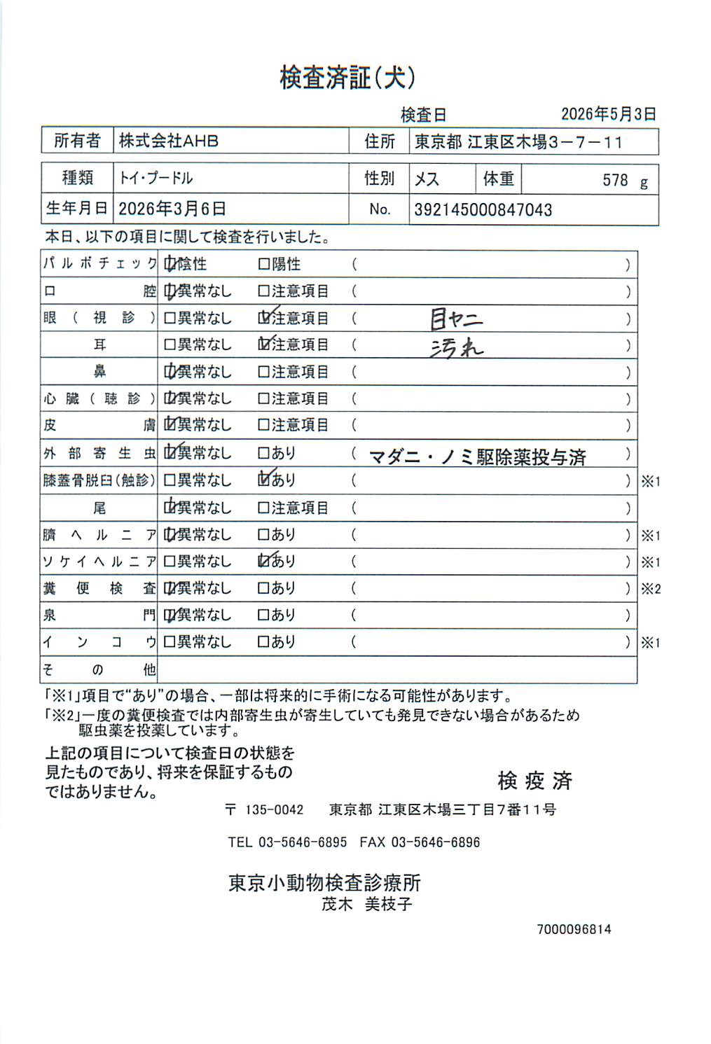 トイ・プードル