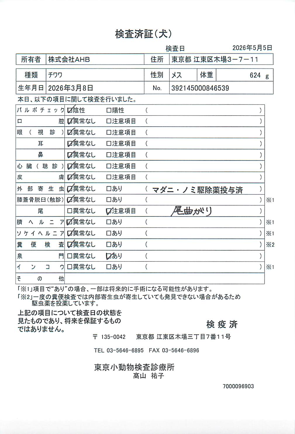 チワワ