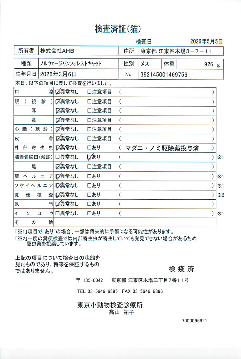 ノルウェージャンフォレストキャット