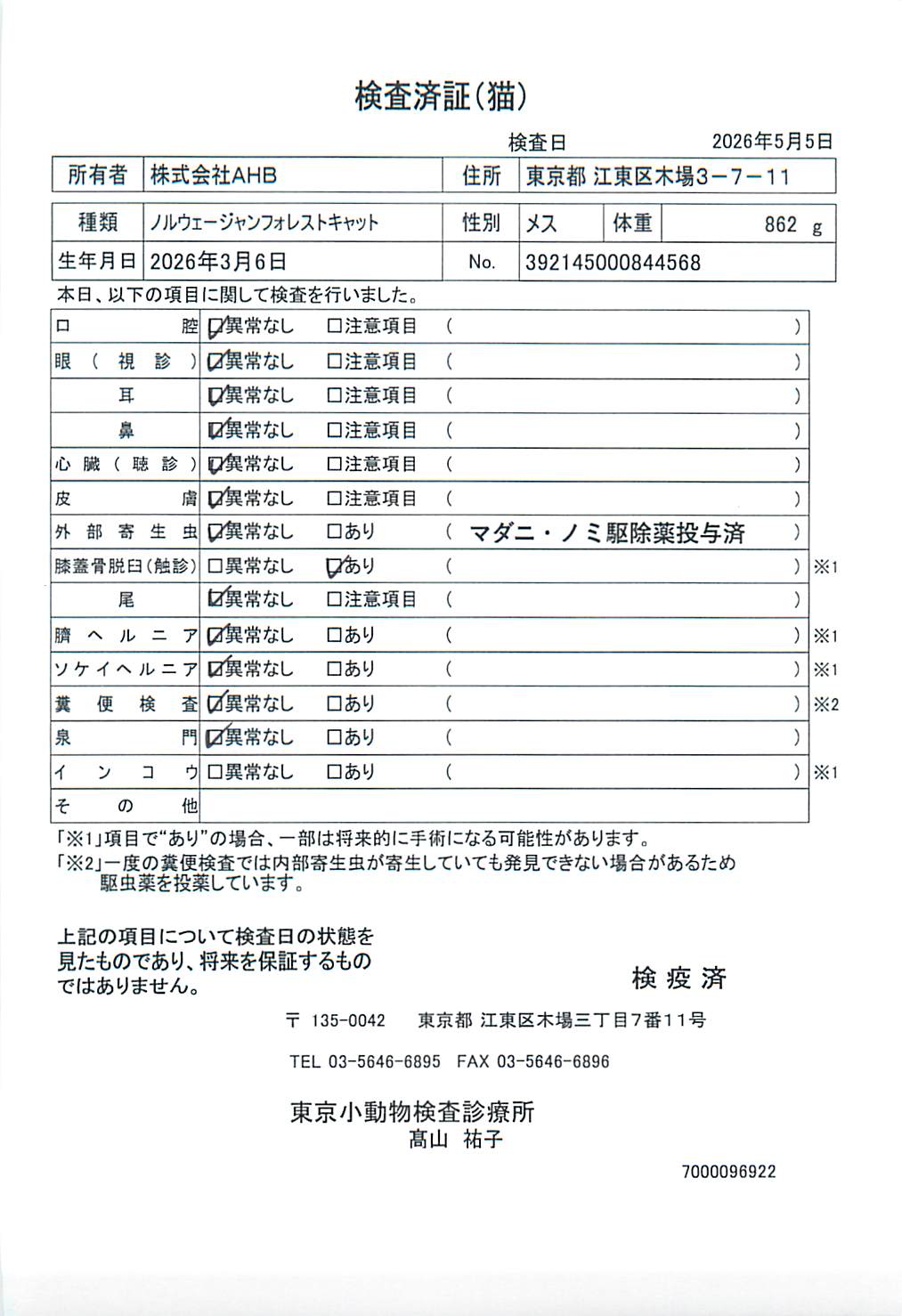 ノルウェージャンフォレストキャット