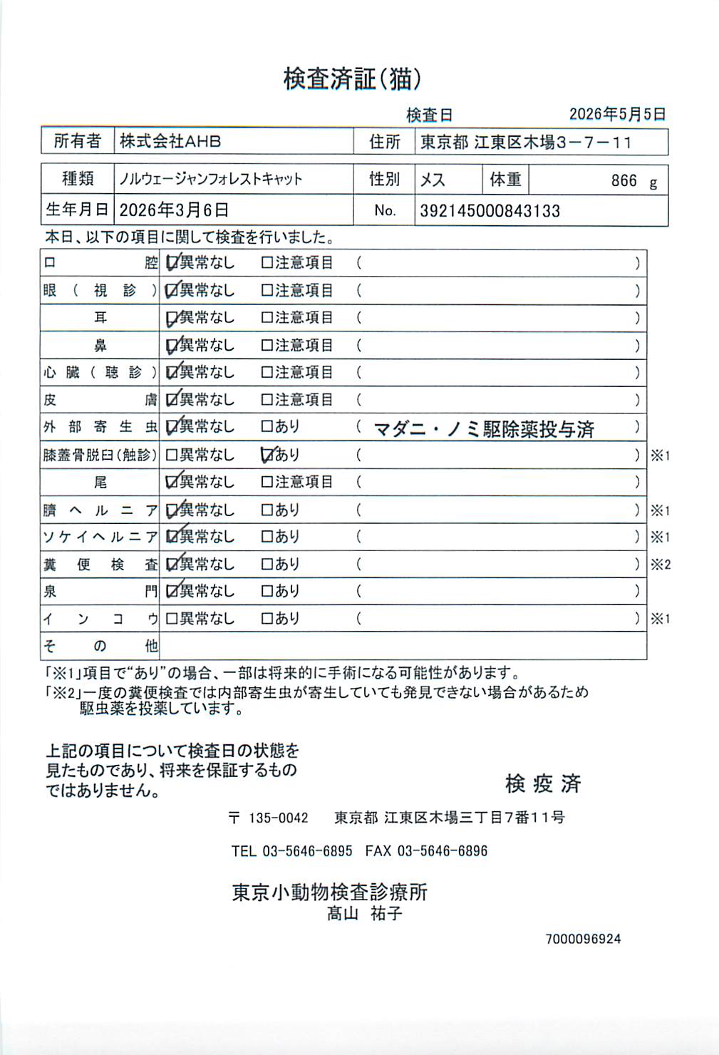ノルウェージャンフォレストキャット