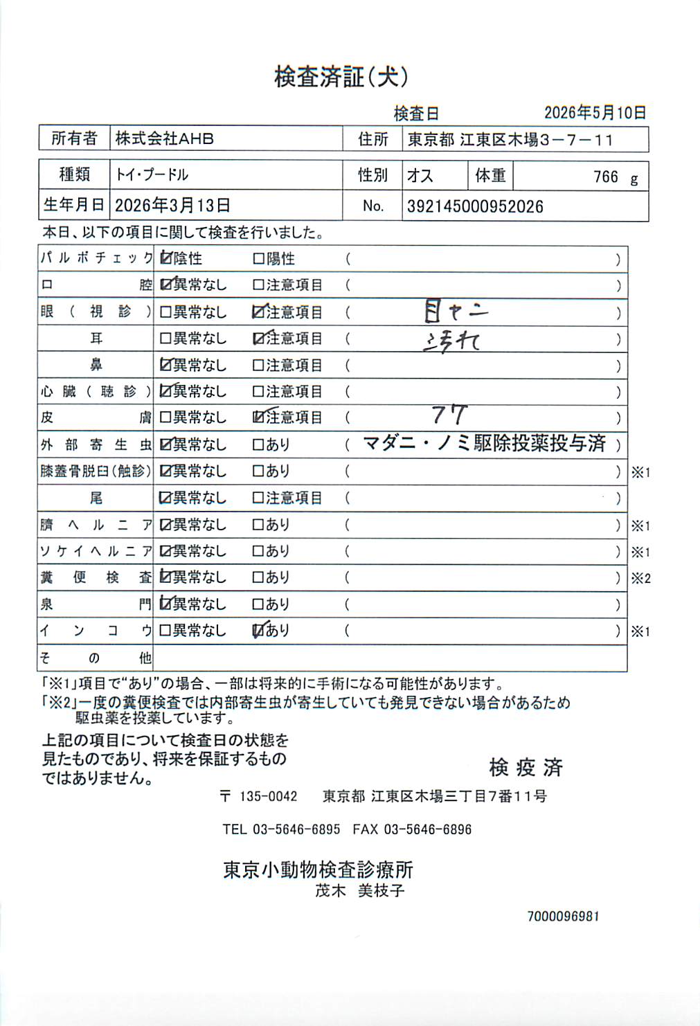 トイ・プードル