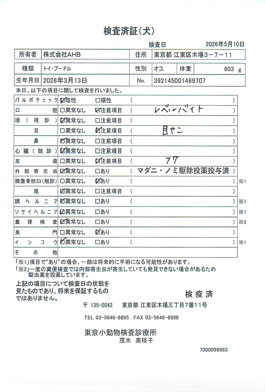 トイ・プードル