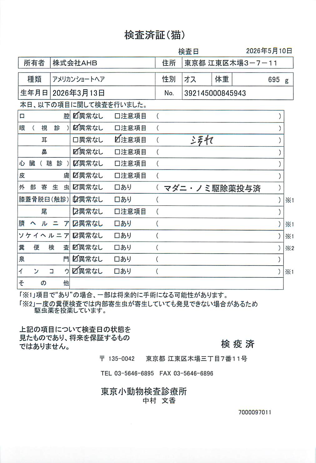 アメリカンショートヘア