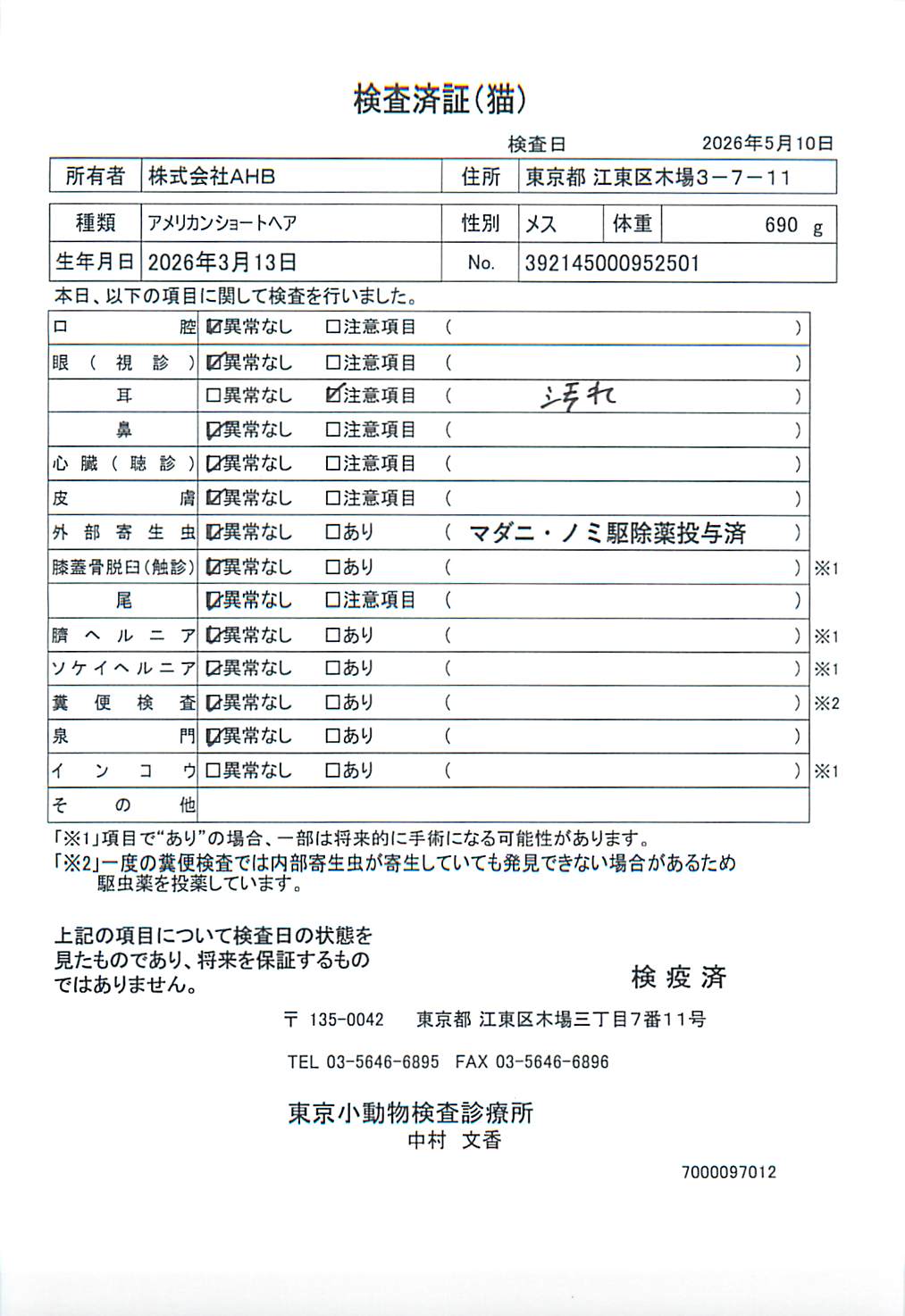 アメリカンショートヘア